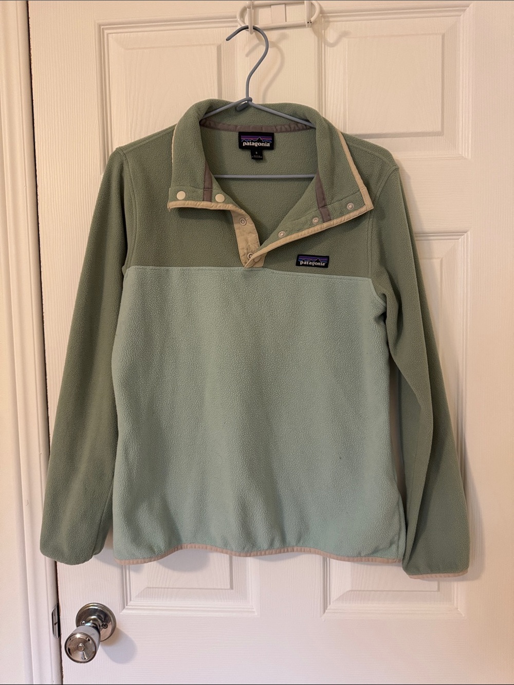 Patagonia Micro D Fleece